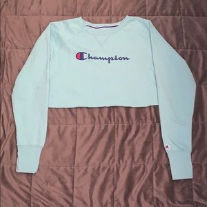 champion cropped sweatshirt